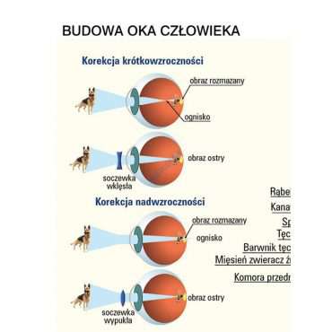 pomoce edukacyjne i dydaktyczne