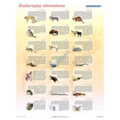 pomoc dydaktyczna i edukacyjna
