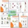 Basic speech therapy - diagnostic and therapeutic program