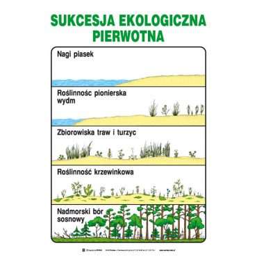Zestaw 20 plansz Edukacja ekologiczna