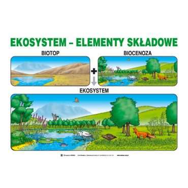 Zestaw 20 plansz Edukacja ekologiczna