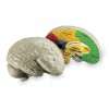 Foam brain model