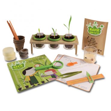 Zestaw botaniczny dla dzieci